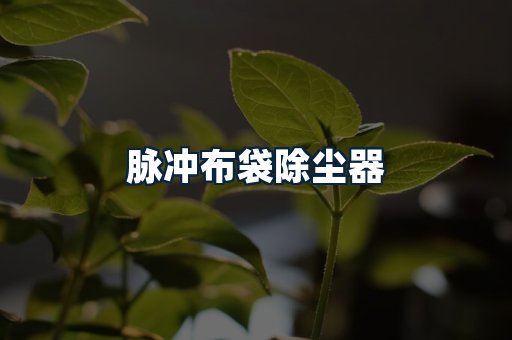脉冲布袋除尘器